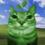 plant cat appreciators