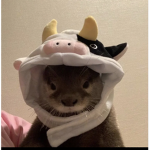 Bobux is good for u yuhh