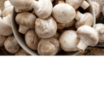 Anti Mushrooms