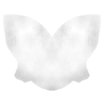 DevVerse Studio