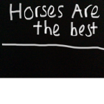 Horses Are the best!!!!!!!