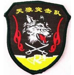 西北战区—特种部队