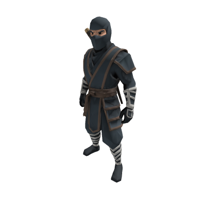 Heroic Ninja