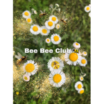 Bee Bee Club!