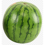 Vice President Watermelon.