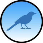 Swift Skies