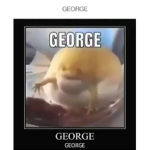 THe great frog George