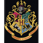 The Hogwarts People
