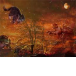 Warrior cats: ArouraClan