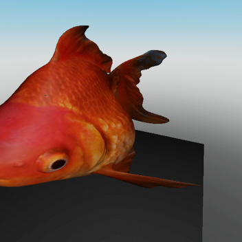 Goldfish