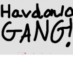 Havdon10 Pro GANG