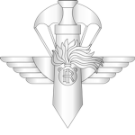 Gruppo di intervento speciale dei Carabinieri