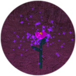 Purple Flower