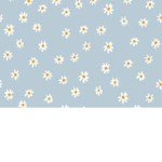 The daisy flower group