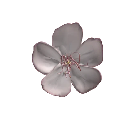 巴西野牡丹 princess flower | Roblox Item - Rolimon's