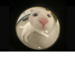 ummm hi :)