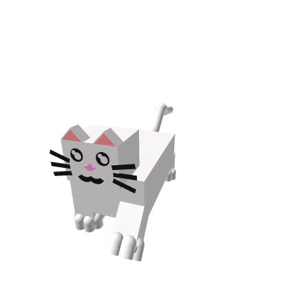 cat walking