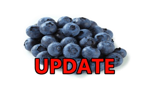 [BIG UPD] blueberry
