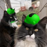 Pyles Development Group Thumbnail