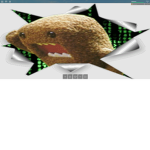 The Domo WonderLand
