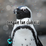 penguin fan club xox