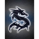 SilentDestiny Fan Group