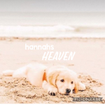 -hannahs heaven-