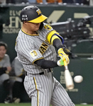 野球しようぜ