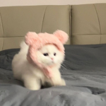 AnxietyXbear