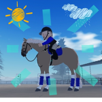 Oak Wood Riding Academy