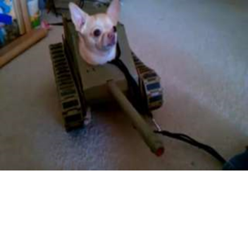 with themselves in the corner.