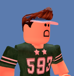 roblox_dude593