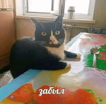 гиппопотомомонстросесквиппедалиофобия