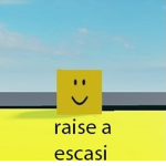 Raise a escasi