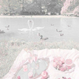 ・❥・