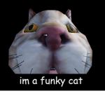 Funky Cats United