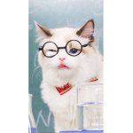 Cringy cats