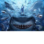 Sharks are chill