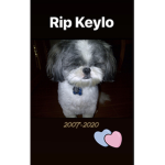 Kewlo