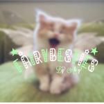 - fairybesties -