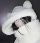 .shhhh Group Thumbnail