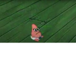 Minipandasssssss
