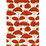 *-mushroom-*