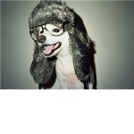Thetotallyswagpeople