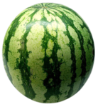 Watermelon Inc Games