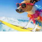 Fun group join for fun