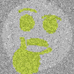 Why does this creation exist?