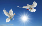 supereyeo and ##########