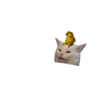 Cats&Doges YT