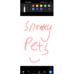 SneakylilPets